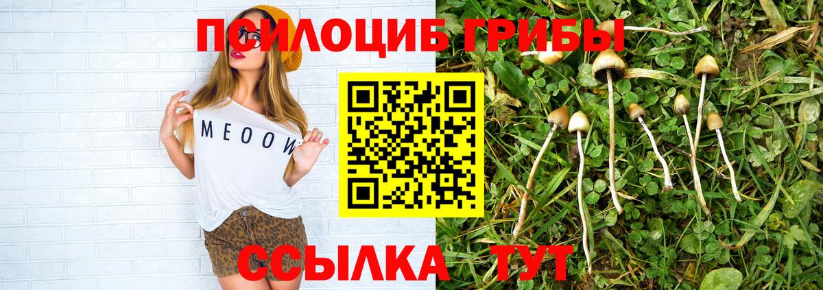 Псилоцибиновые грибы Psilocybine cubensis Верхний Уфалей